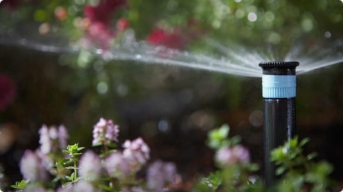 Dysza o stałym kącie nie obraca się w czasie działania i emituje wodę w postaci płaszcza wodnego